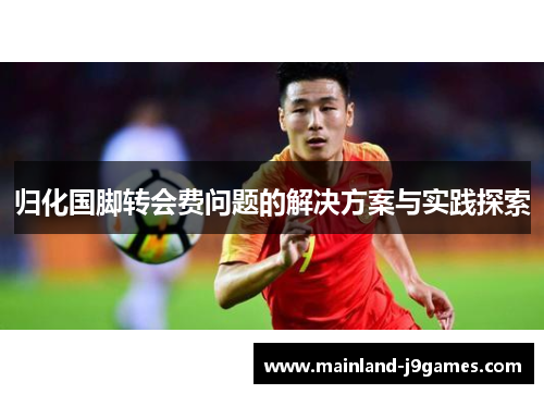 归化国脚转会费问题的解决方案与实践探索