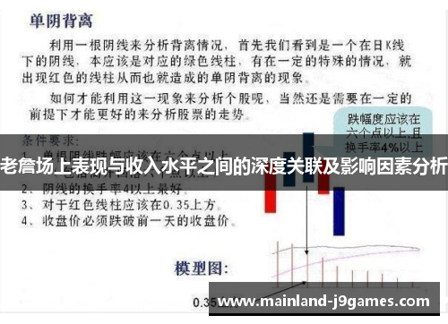 老詹场上表现与收入水平之间的深度关联及影响因素分析