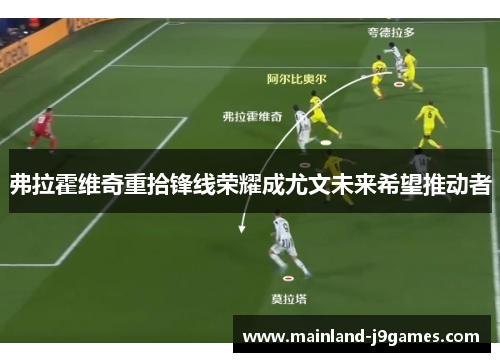 弗拉霍维奇重拾锋线荣耀成尤文未来希望推动者 弗拉霍维奇重拾锋线荣耀成尤文未来希望推动者