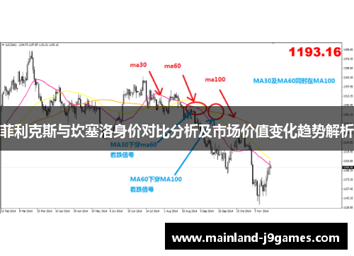 菲利克斯与坎塞洛身价对比分析及市场价值变化趋势解析