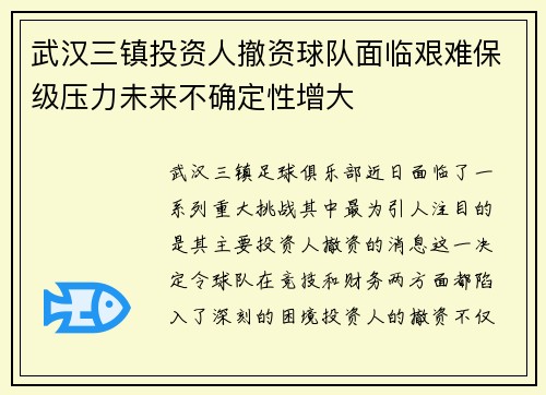 武汉三镇投资人撤资球队面临艰难保级压力未来不确定性增大